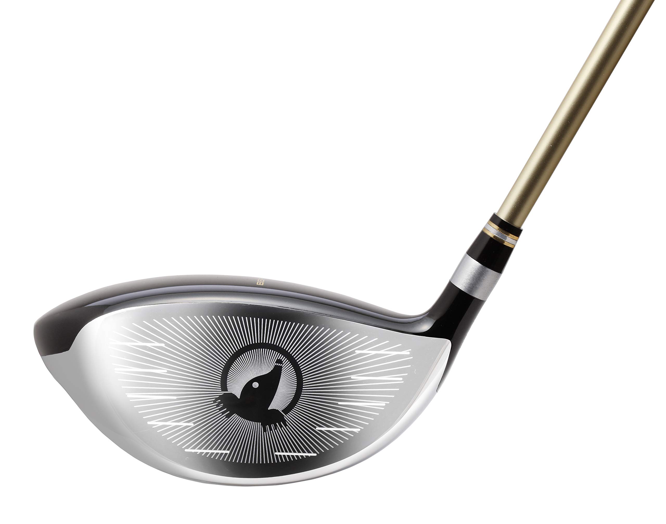 BERES（2019）25° ARMRQ 42 ／SRフレックス HONMA BERES 2019 Japan