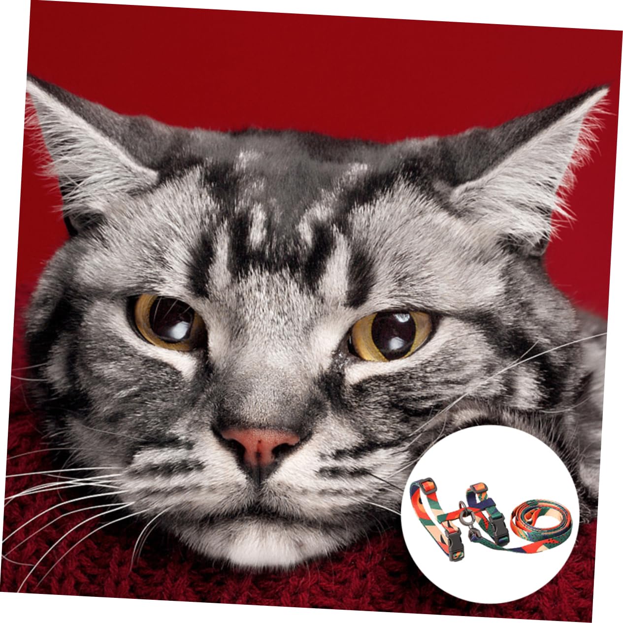 2stücke Förmiges Katzen Geschirr Mit Leine Langlebiges rutschfest Für Sicheres Gassigehen Mit Ihrem Haustier Bunten Farben Erhältlich Für Katzen Und Kätzchen