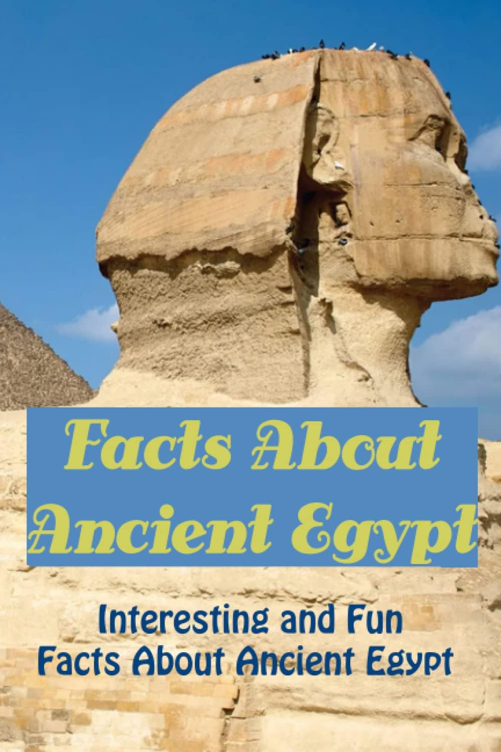 Facts About Ancient Egypt: Interesting and Fun Facts about Ancient Egypt: Things You May Not Know About Ancient Egypt Paperback โ 28 Dec. 2022