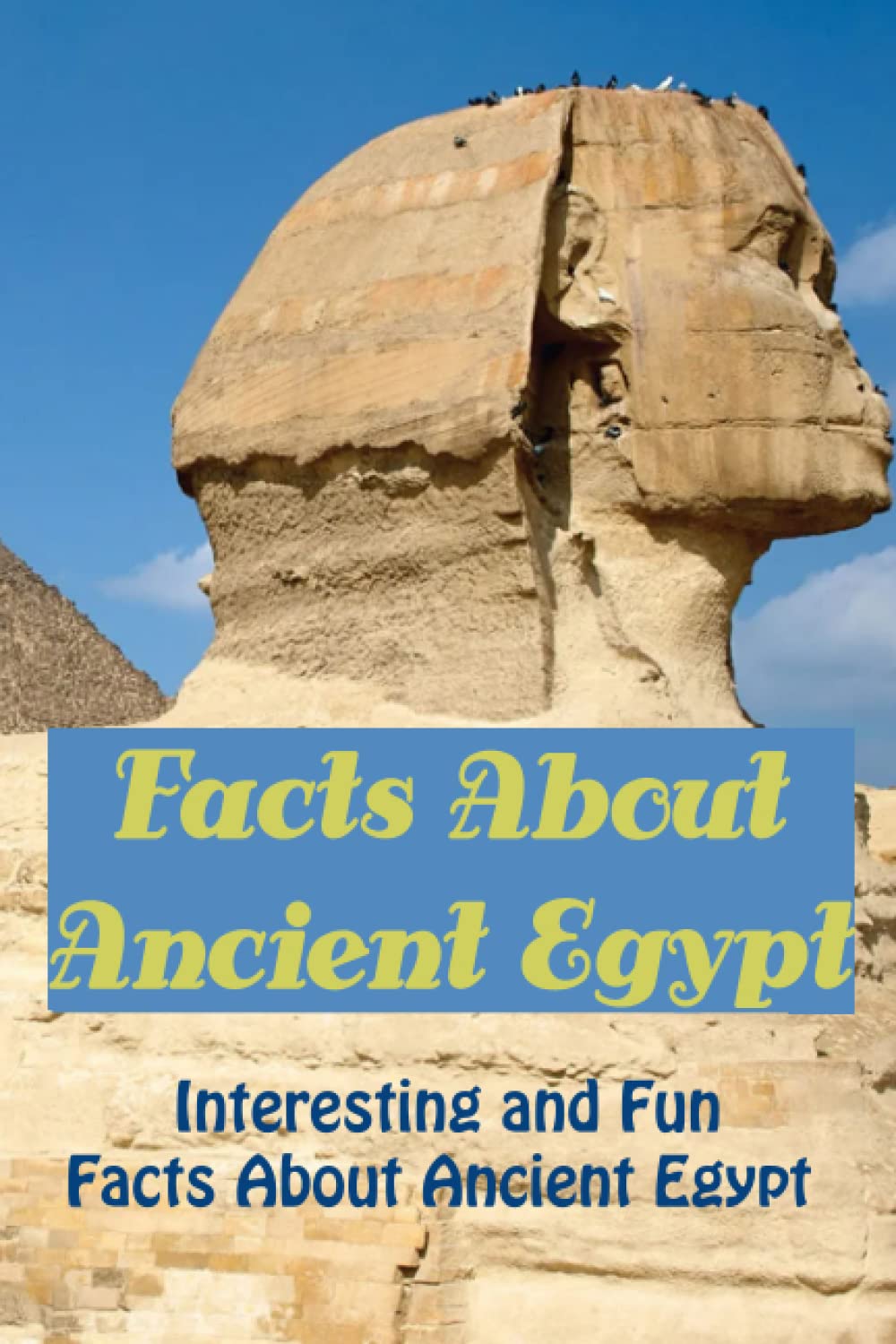 Facts About Ancient Egypt: Interesting and Fun Facts about Ancient Egypt: Things You May Not Know About Ancient Egypt Paperback – 28 Dec. 2022