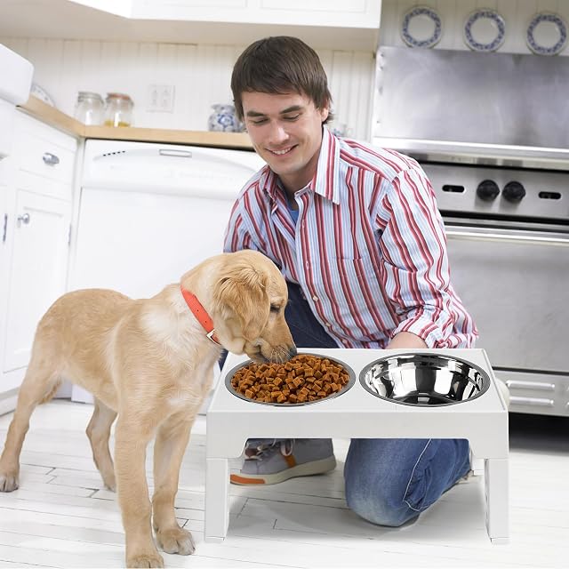 Foto 2 de 7 de PETCUTE Comedero Elevado para Perros, Alimentador 5 Alturas Ajustables