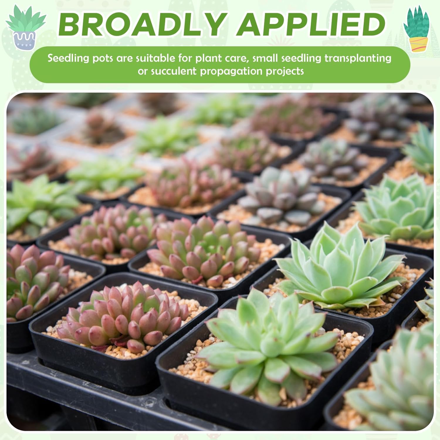 Yaomiao 200 Pack 3 Inch Black Nursery Pot Square Flower Pots Plastic Plant Succulent Planter Seed Starting Pots with Drainage Holes for Garden Office Balcony Decor Indoor Outdoor Plant Seedling - Image 7