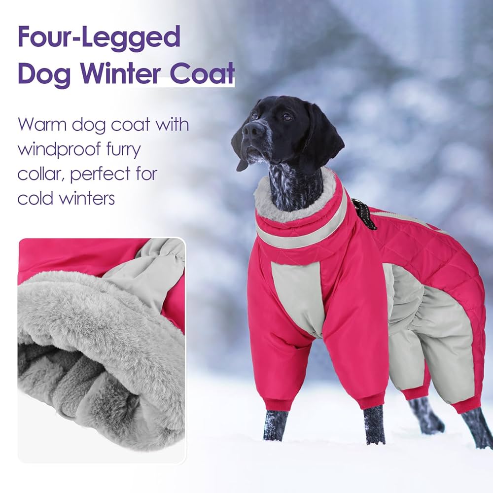 Amazon.com : SUNFURA Full Body Dog Coat - Warm Fleece Jacket