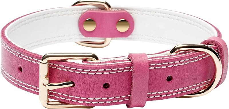 Coleira de Couro para Cães Grandes DAIHAQIKO, Extra Resistente, XL