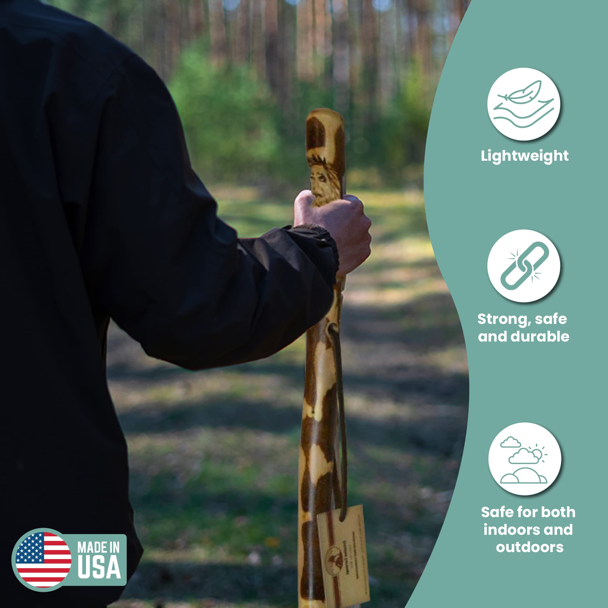 Walking Sticks Cving For Beginners