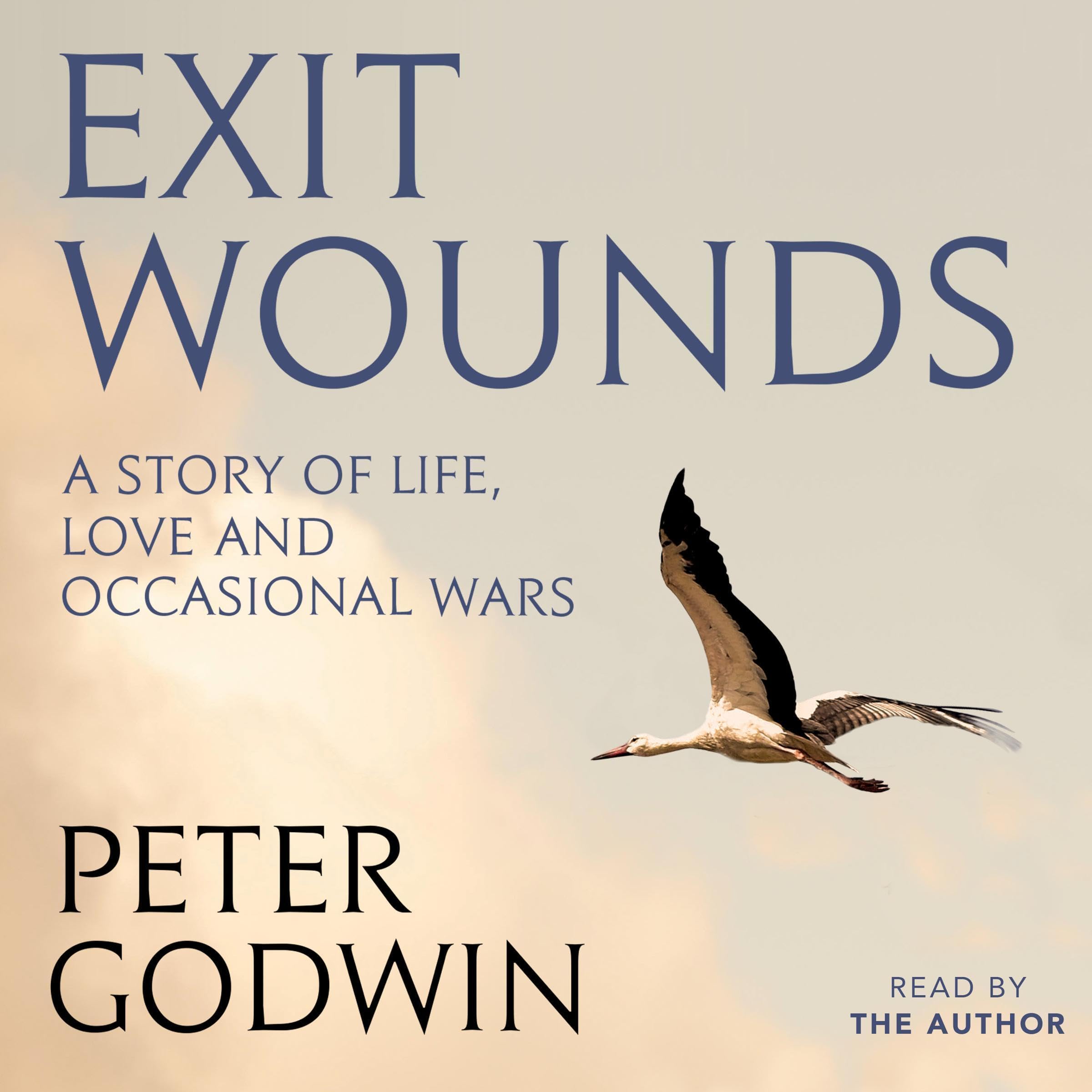 Exit Wounds