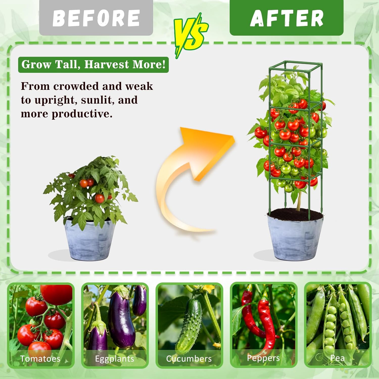Riare 4 Pack Square Tomato Cages for Garden Plant Support- Up to 60 Inch Tomato Cage Garden Stakes Tomato Trellis for Potted Plants Raised Garden Bed Climbing Vegetables Flowers Outdoor Indoor