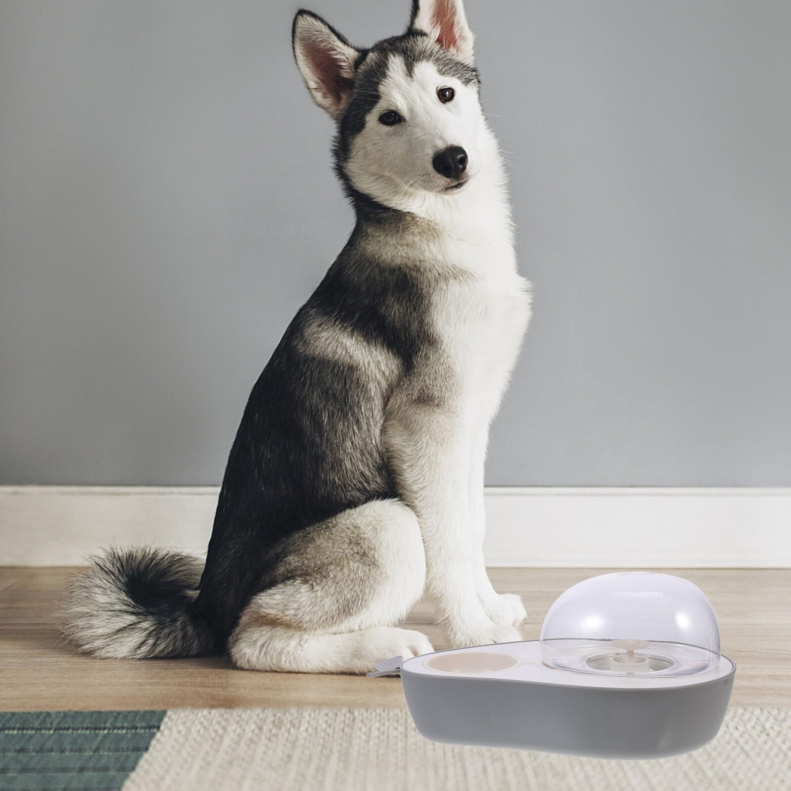 Lurrose Plastik-wassernapf Verschleißfester Haustier-wasserspender Haustier-tränke Einfach Zu Verwenden Reinigen Für Hunde Und Katzen