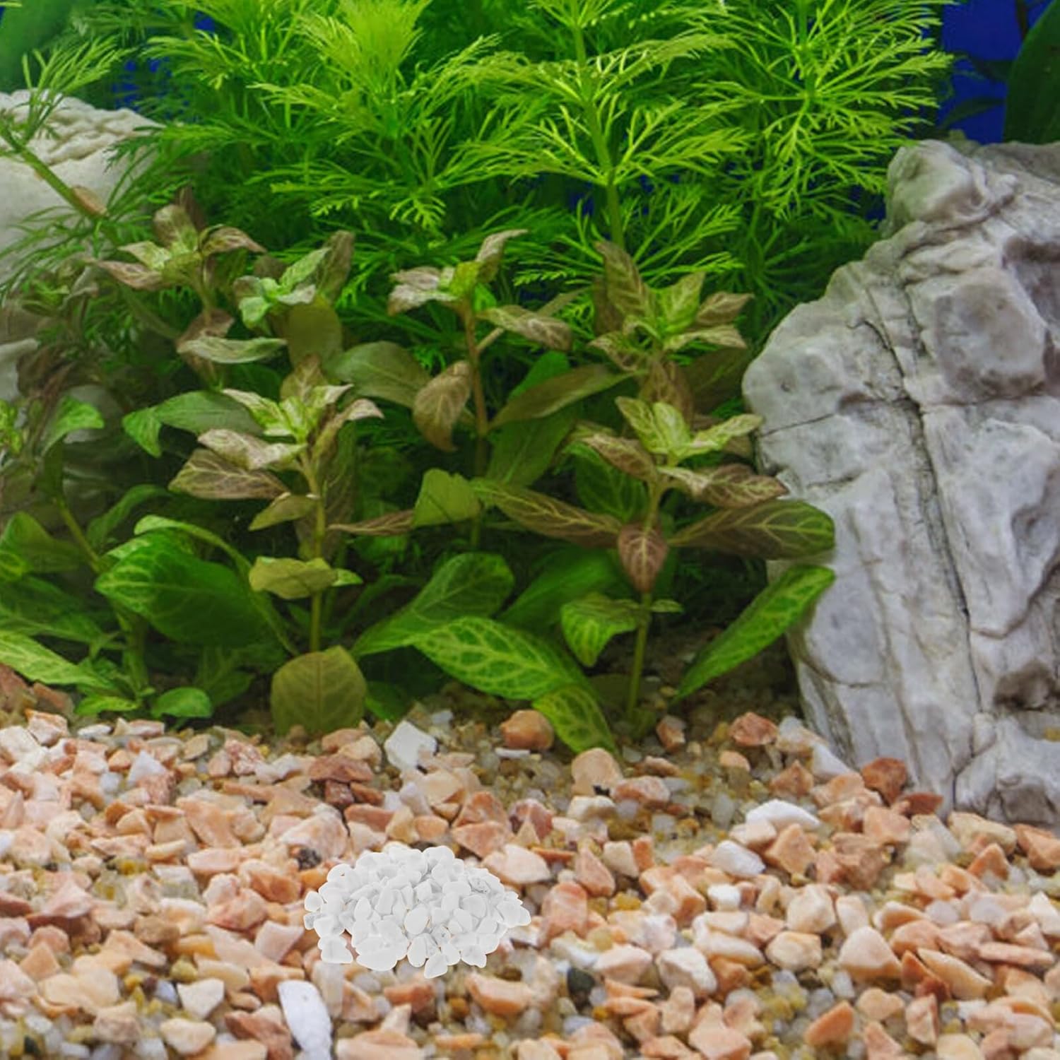 White Landscaping Rocks Pebbles for Aquarium Gravel and Indoor Plant Decoration, 8-12mm White Polished Stones for Terrariums, Flower Pots, and Garden Pathways, 2lb Pack