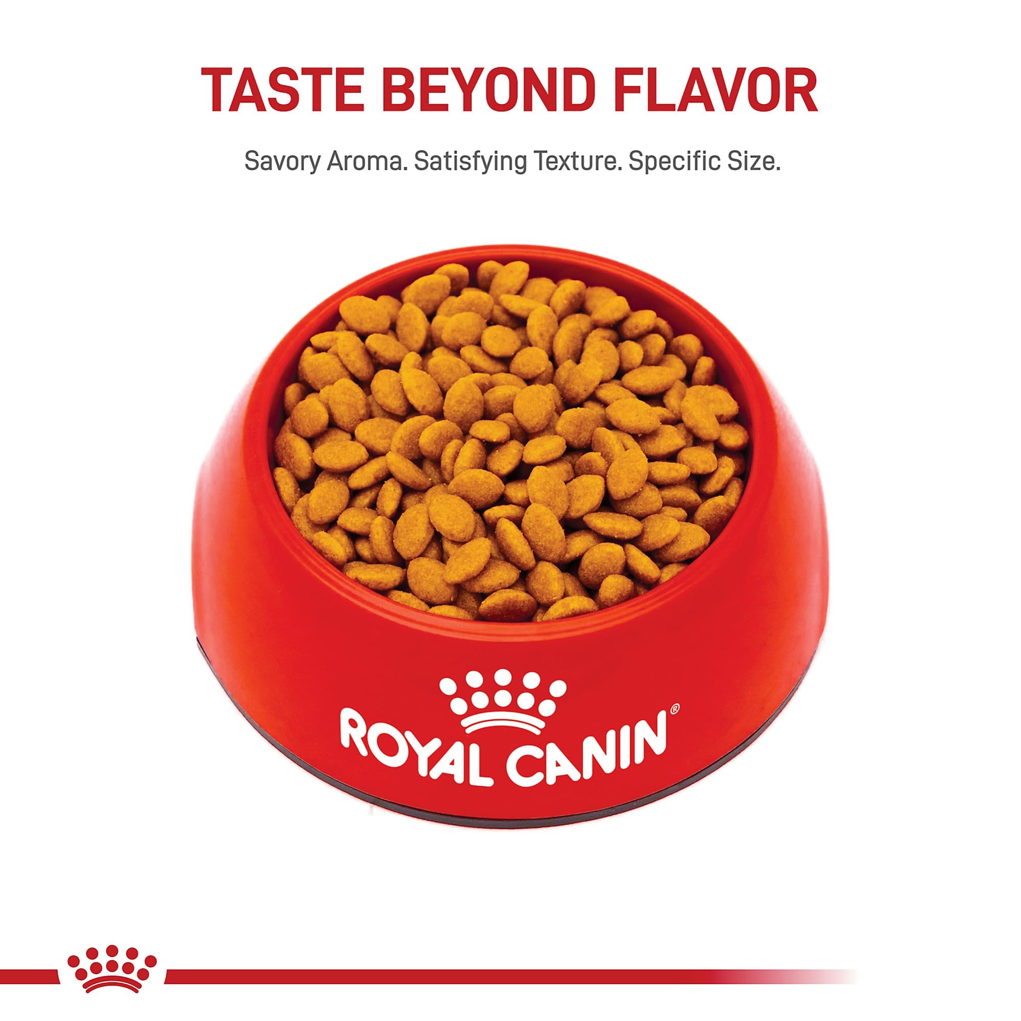 ROYAL CANIN BREED HEALTH NUTRITION Persian dry cat food, 7-Pound by Royal Canin