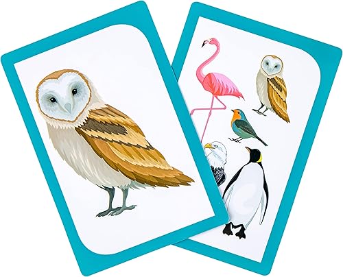 Miniatura 5 de Kibbit Grupo It- Juego de cartas para mejorar el reconocimiento de categorías y nombres, herramienta de terapia del habla, ABA, ESL