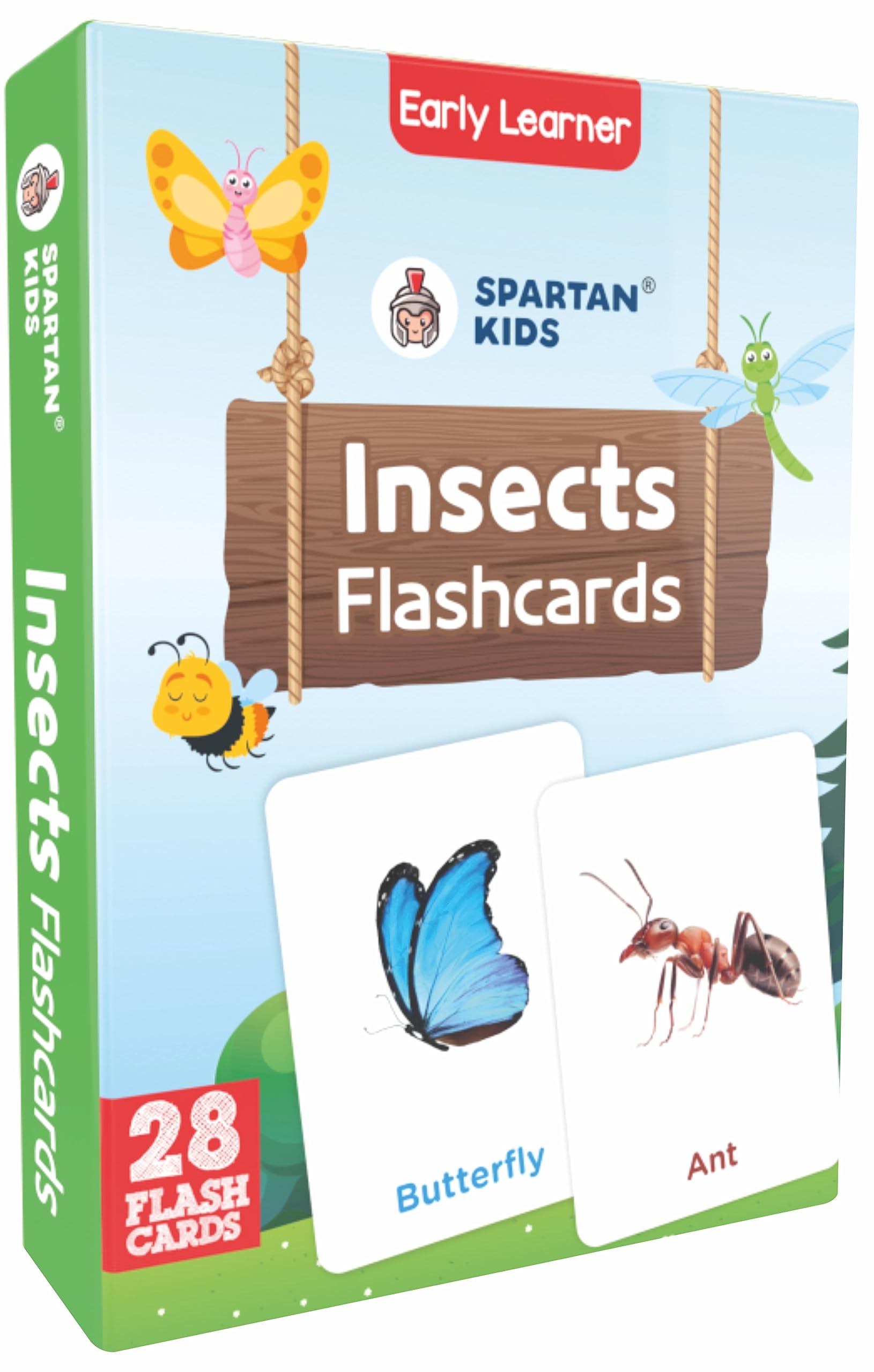 SPARTAN KIDS® Insect Flash Cards for Kids | 28 Early Learning Flash Cards Easy & Fun Way of Learning 1 Year to 6 Years Babies (B0CF5QL57H) Amazon Price History, Amazon Price Tracker