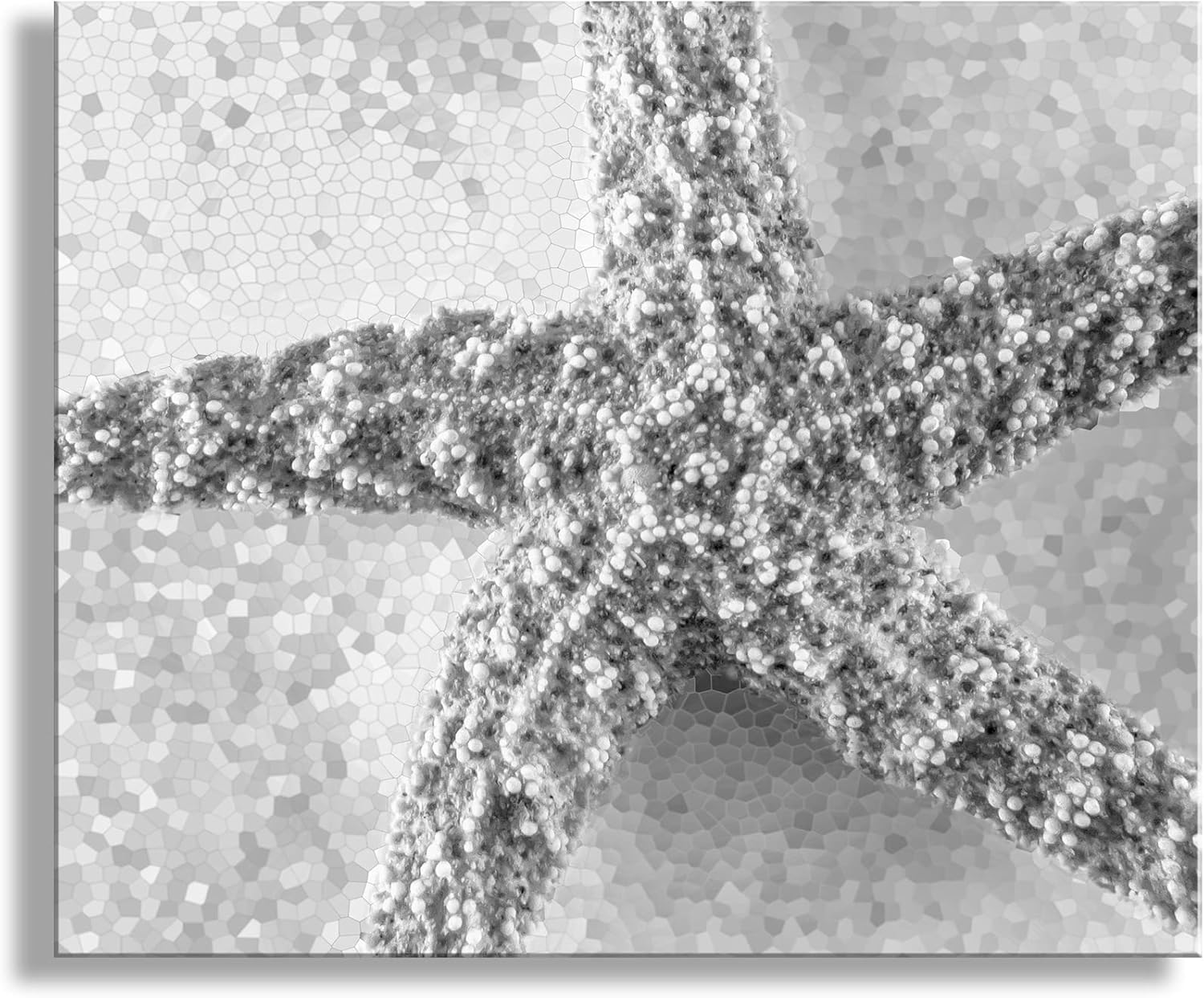 Black and White Photograph of Starfish as Bath Decor Ocean Inspired Art Print