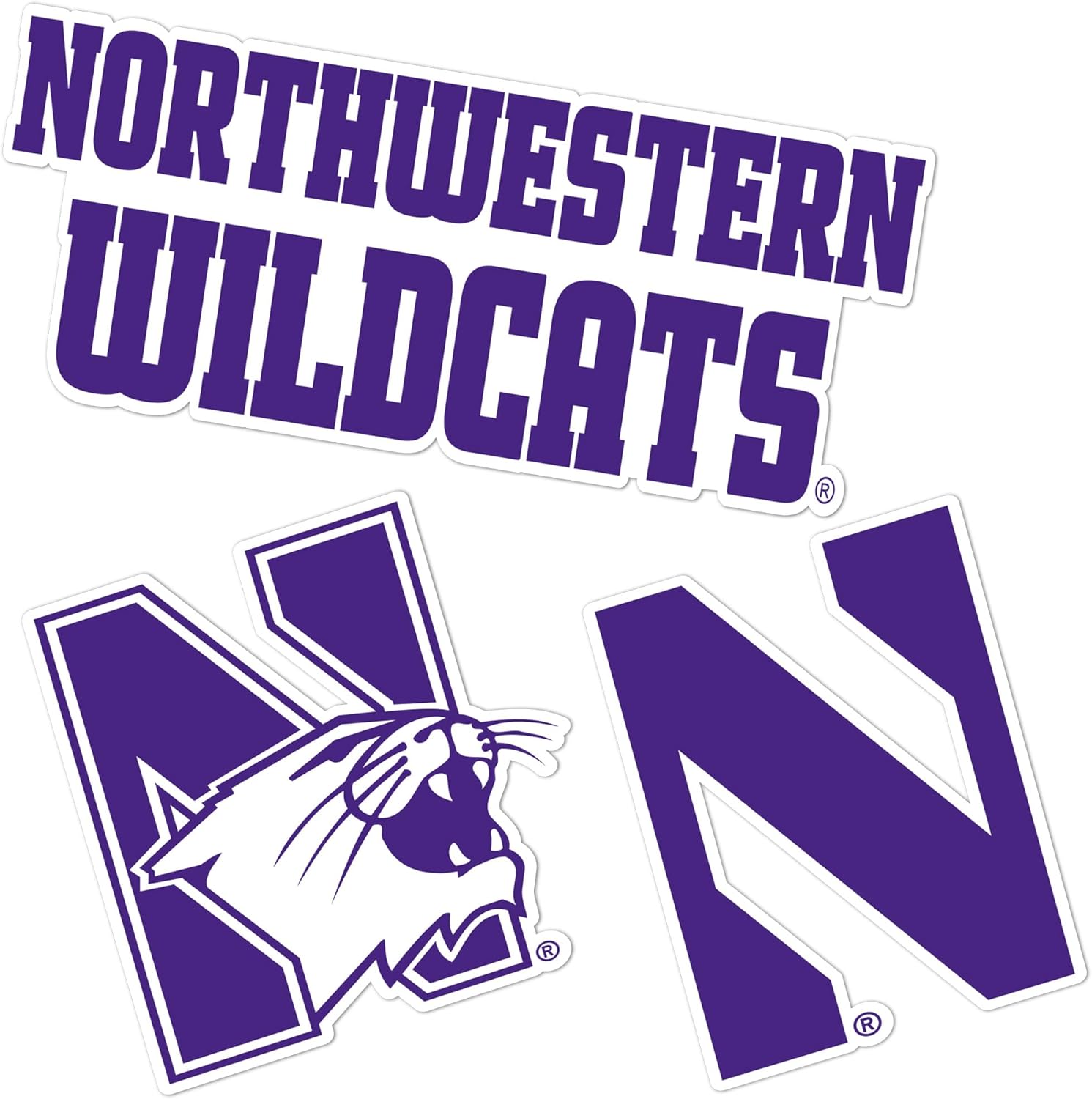 Desert Cactus Northwestern University Sticker NU Wildcats Vinyl Decals Laptop Water Bottle Car Scrapbook T5 (Type 5-1)