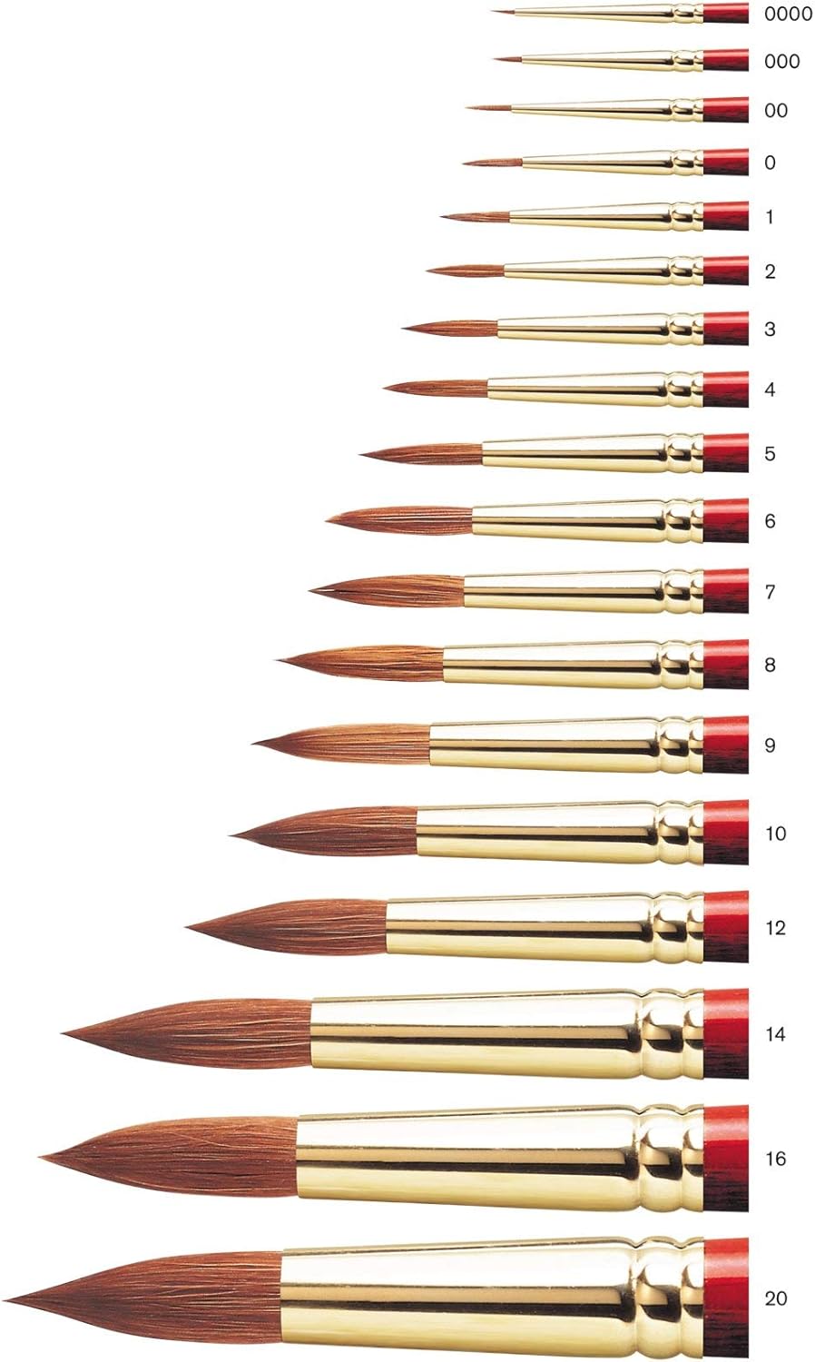 Winsor & Newton Sceptre Gold II Series 101 Short Handle Brush - Round #20