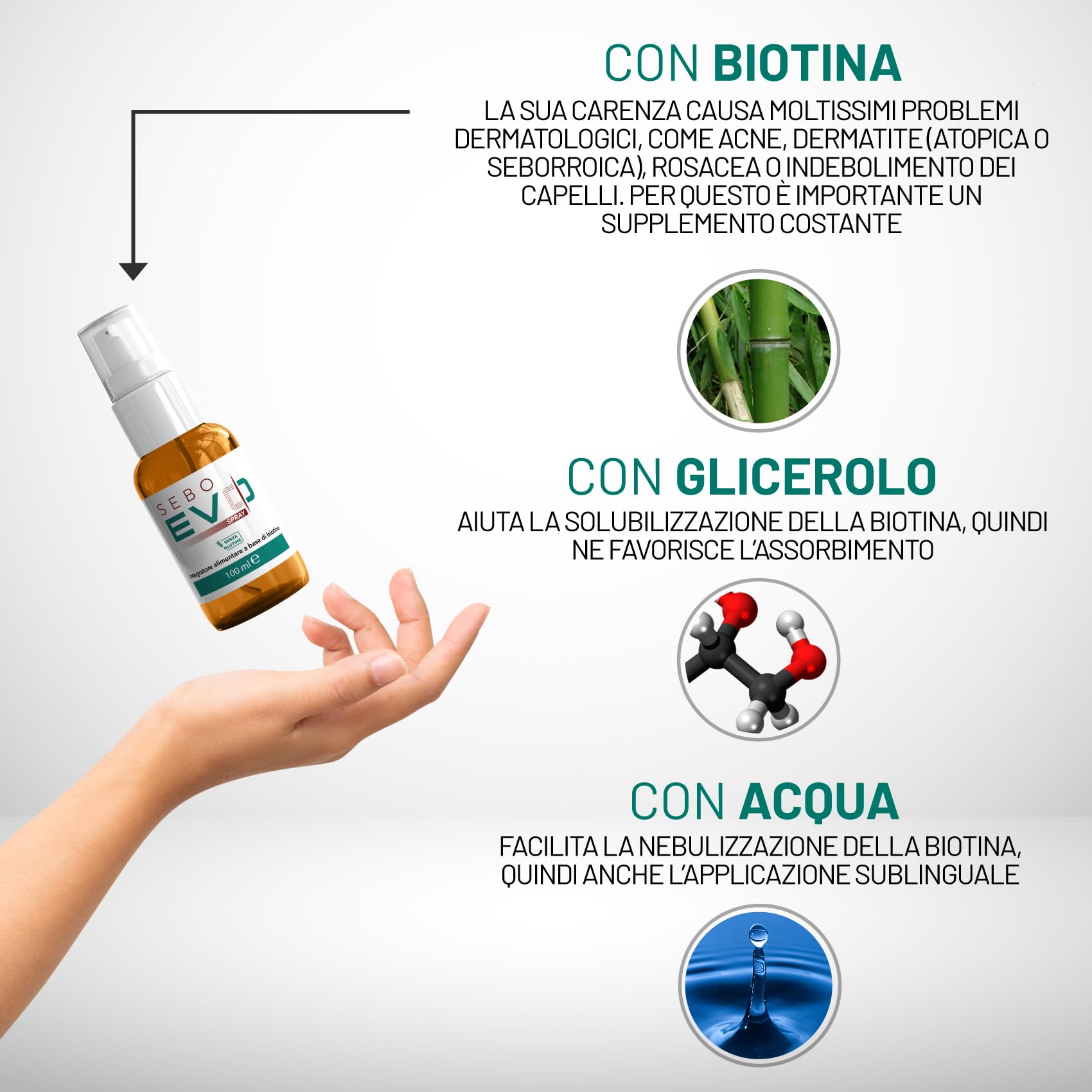 Sebo EVO spray sublinguale per carenza di Biotina (Vitamina B8). Garantito massimo assorbimento del principio attivo. Contrasta dermatite seborroica, dermatite atopica, acne, indebolimento dei capelli