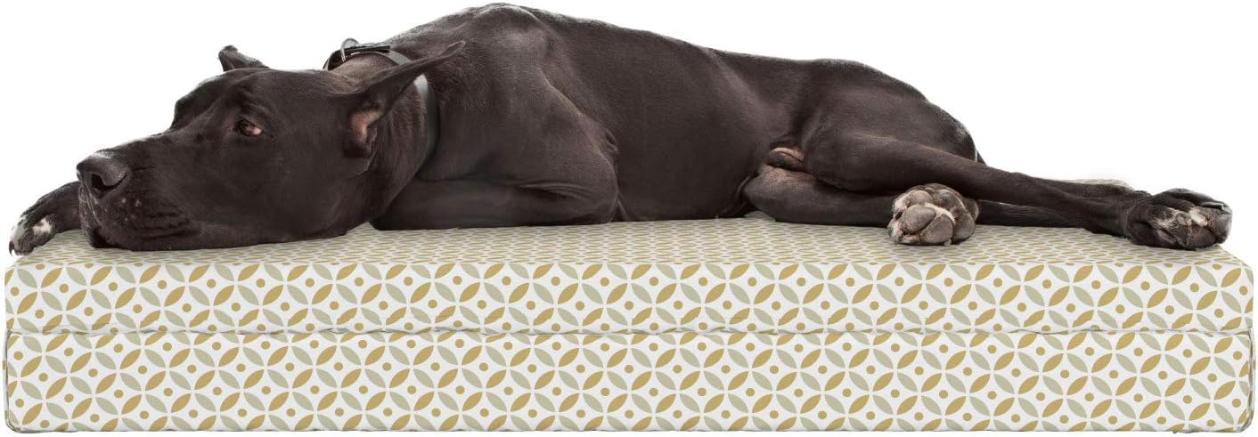 Lunarable Geometric Circle Dog Bed, Disc Shaped Overlaps Dots and Turning Lines with The Inner Circles Image, Durable Washable Mat with Decorative Fabric Cover, 48" x 32" x 6", Beige Cream