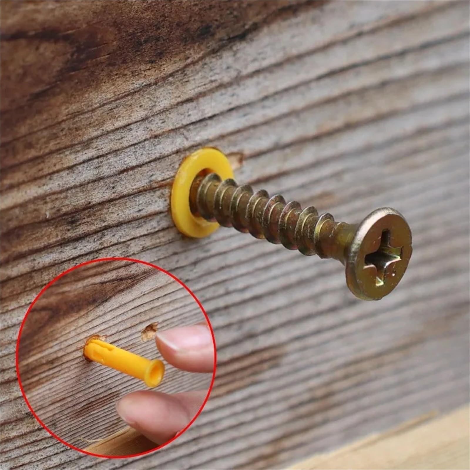 Dübel 10mm 200x Betonwand-Erweiterungsrohr mit Schraube, selbstschneidende Schrauben, Bohrstopfen for Zementputzbefestigungen