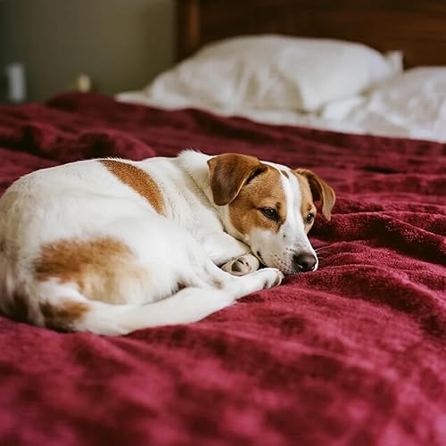 Miniatura 86 de gogobunny Manta de cama impermeable, manta reversible de forro polar Sherpa para perro, cachorro y gato, funda para muebles que protege la cama, Gris