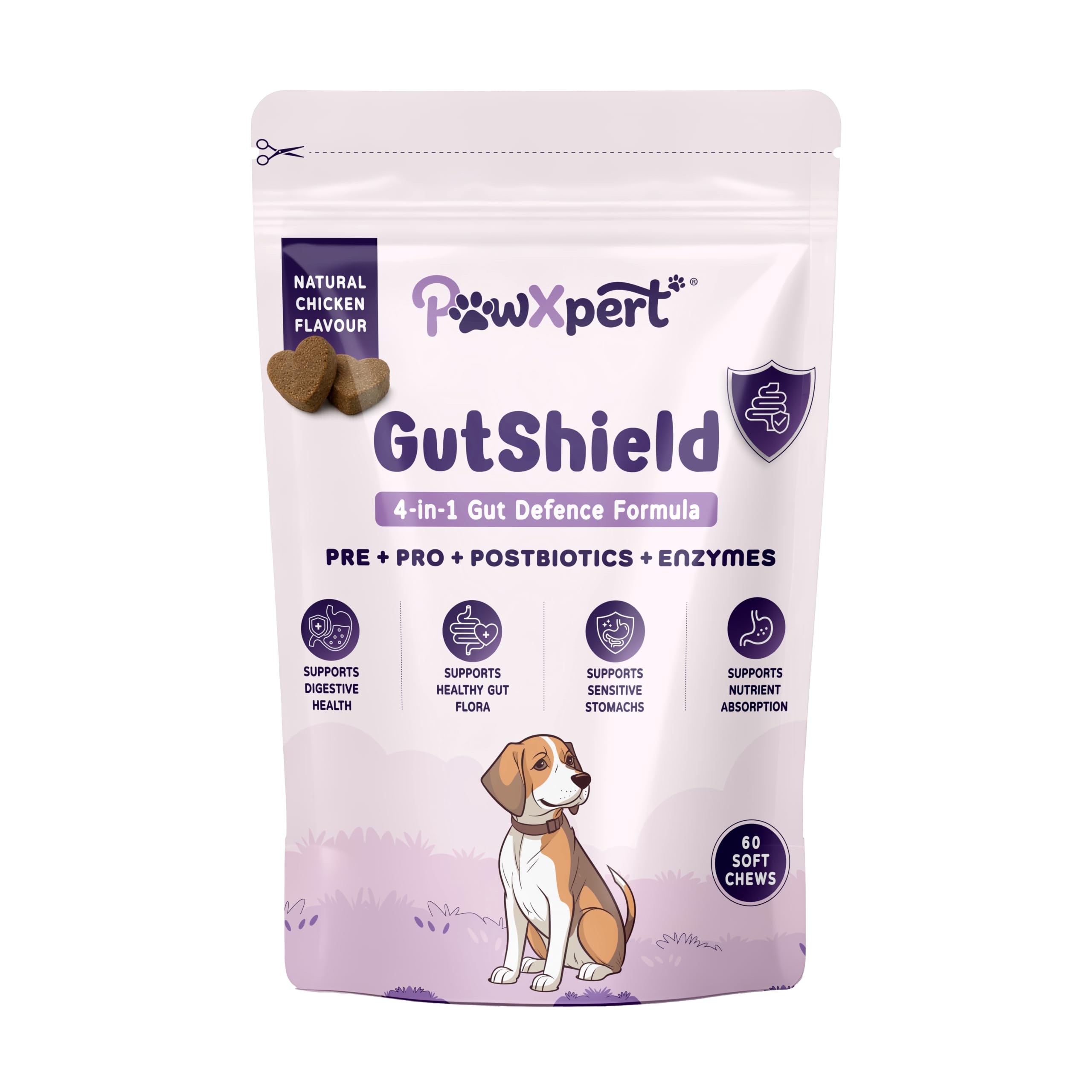 GutShield Probiotic Chews for Dogs - Chicken Flavour | Digestive Supplement