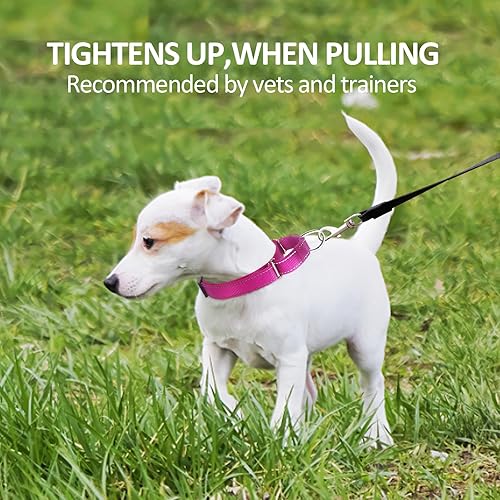 Miniatura 8 de Collar de perro Martingala personalizado, collares de perro Martingala reflectantes, collares de perro Martingala de entrenamiento personalizados