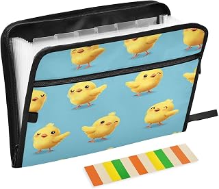 Charming Cute Chick Art Expanding File Organizer with 13 Pockets Accordion File Folders with Labels,Portable Document Paper Bill Receipt Organizer,Home College School Office Supplies, Letter