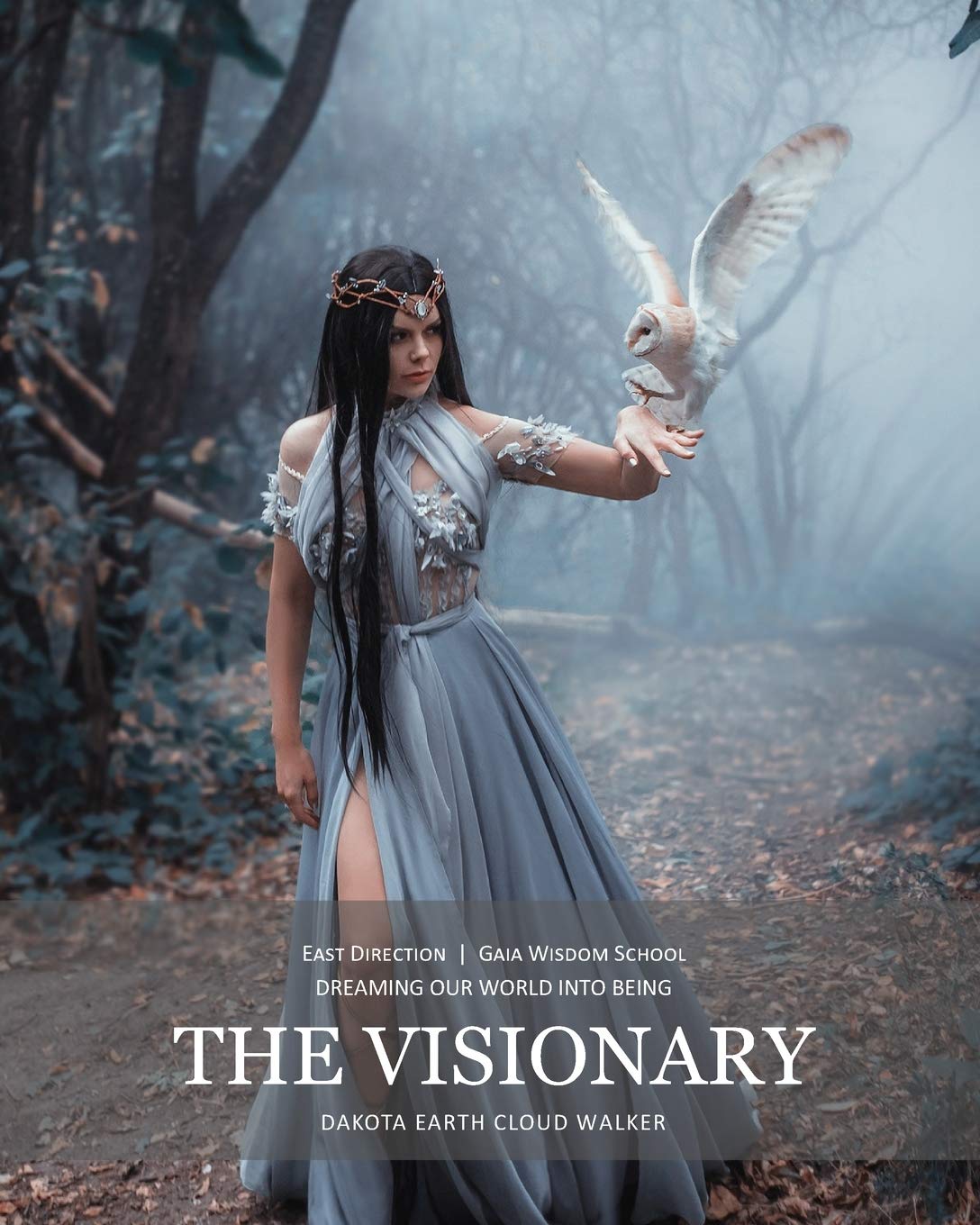 The Visionary: Dreaming Our World Into Being (Gaia Wisdom Mentorship)
