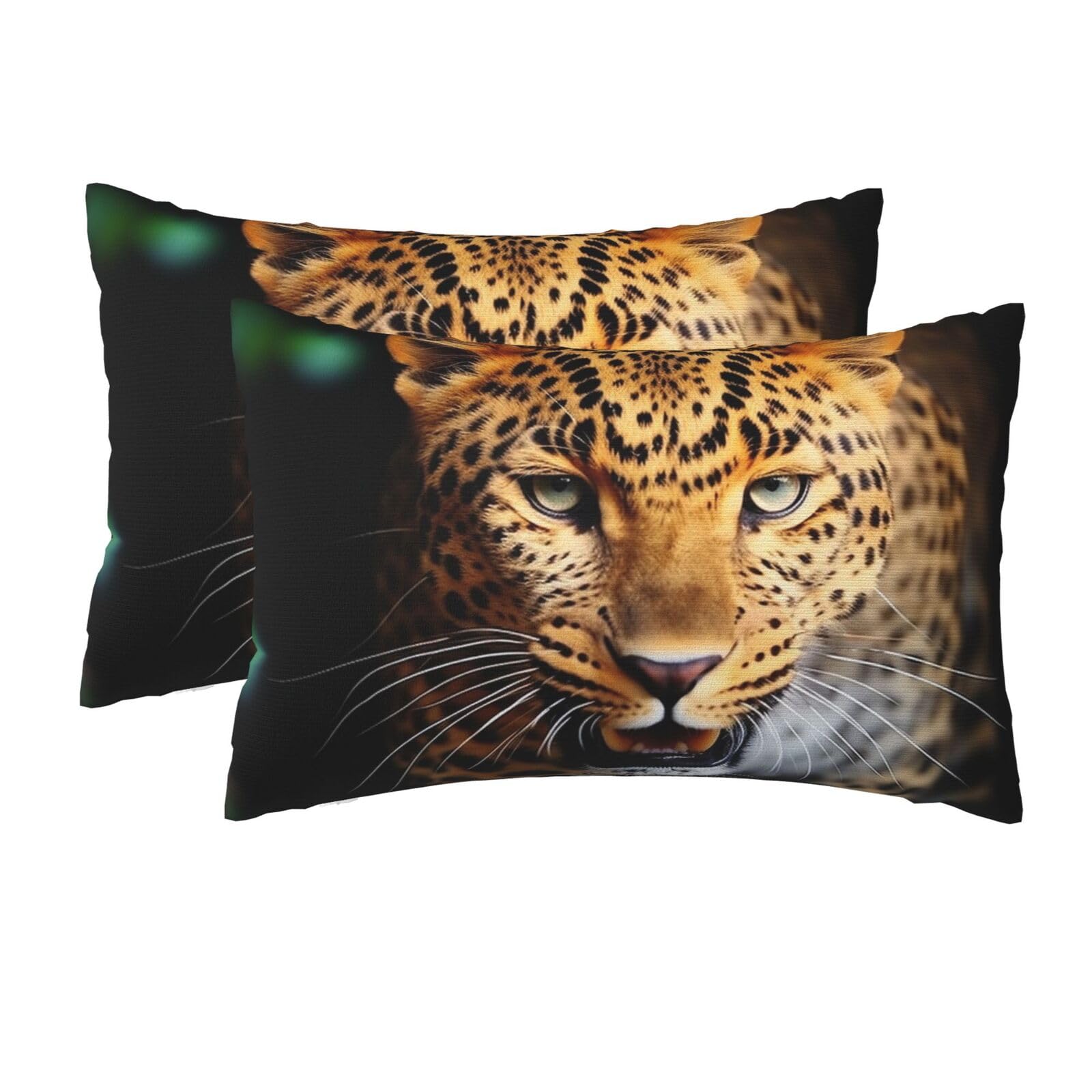 2 Pack Queen Size Pillow Cases for Hair and Skin Soft Breathable Pillow Case Covers with Hidden Zipper Leopard Pillowcase 20x30 Inches Pillow Cover for Sleeping Gift
