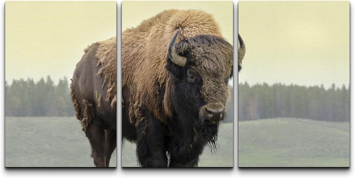 One-Day Sale: Up to 50% Off wall26 Canvas Print Wall Art Set Yellowstone National Park Grasslands Bison Animals Wildlife Photography Modern Art Rustic Scenic Nature Chic Colorful for Living Room, Bedroom, Office - 16x24x3
