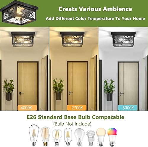 Miniatura 2 de Asnxcju Lámpara de techo de granja 2 luces negras de montaje empotrado con pantalla de vidrio transparente jaula de metal retro cerca de la lámpara