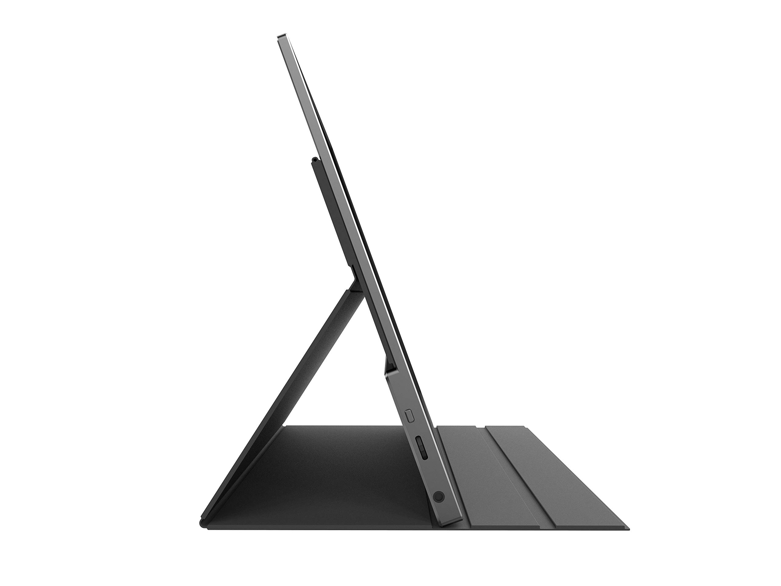 MSI Optix MAG161V 15.6 Inch Ultra Slim Portable Monitor - LED IPS, Full HD  1080p, Built In Speakers, Type-C/Mini HDMI - Connect to PC, Laptop,  Smartphone, Camera and Other Devices, Black -