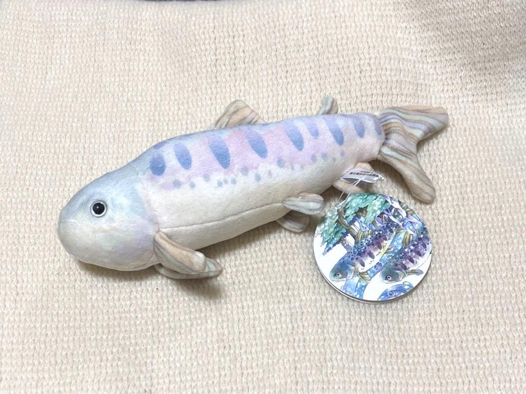 Amazon.co.jp: 水族館 ぬいぐるみ ヤマメ 魚 キッズ : ペット用品