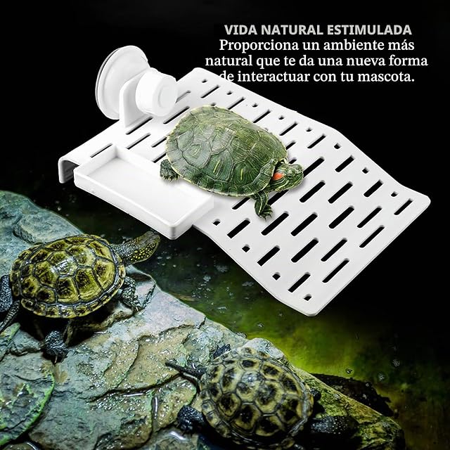 Foto 3 de 8 de Plataforma Flotante para Tortuga con Ventosas, Isla de Descanso para Reptiles Acuáticos