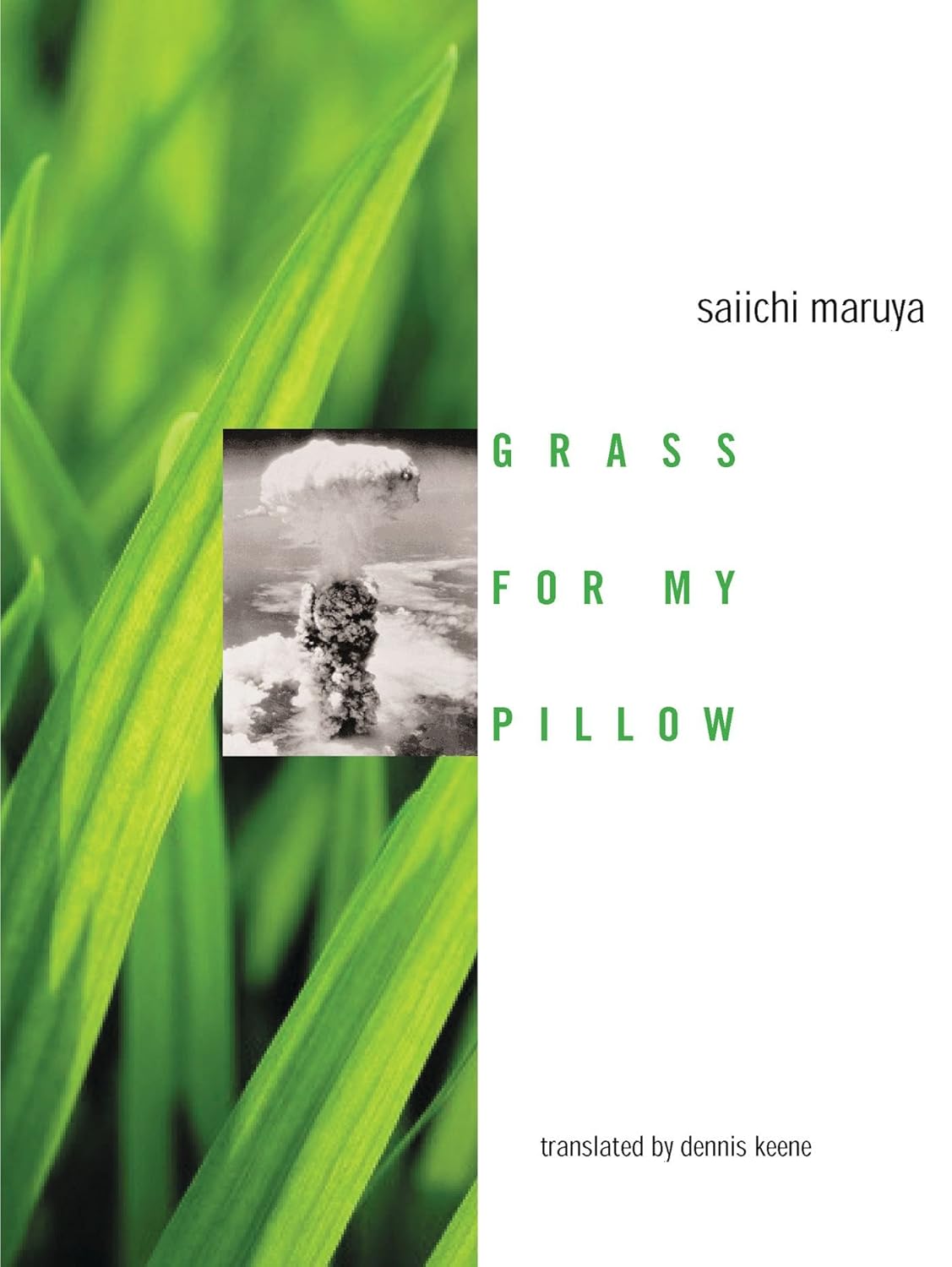 Grass For My Pillow (Modern Asian Literature)      Kindle Edition