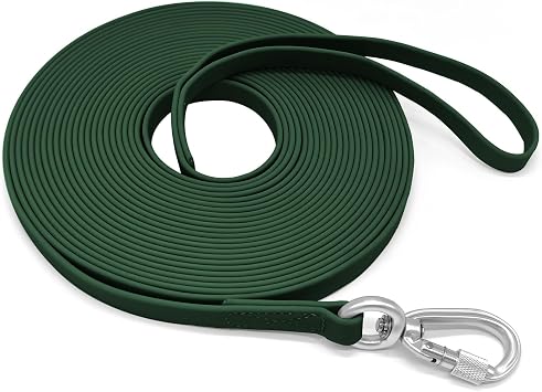 ZALER Long Dog Leash Waterproof Training Leashes 50ft 30ft 20ft 15ft 10ft 6ft, Odor Proof Recall Long Line Lead with Aviation Aluminum Carabiner Clip for Small, Medium, Large Dogs 10FT, Forest Green