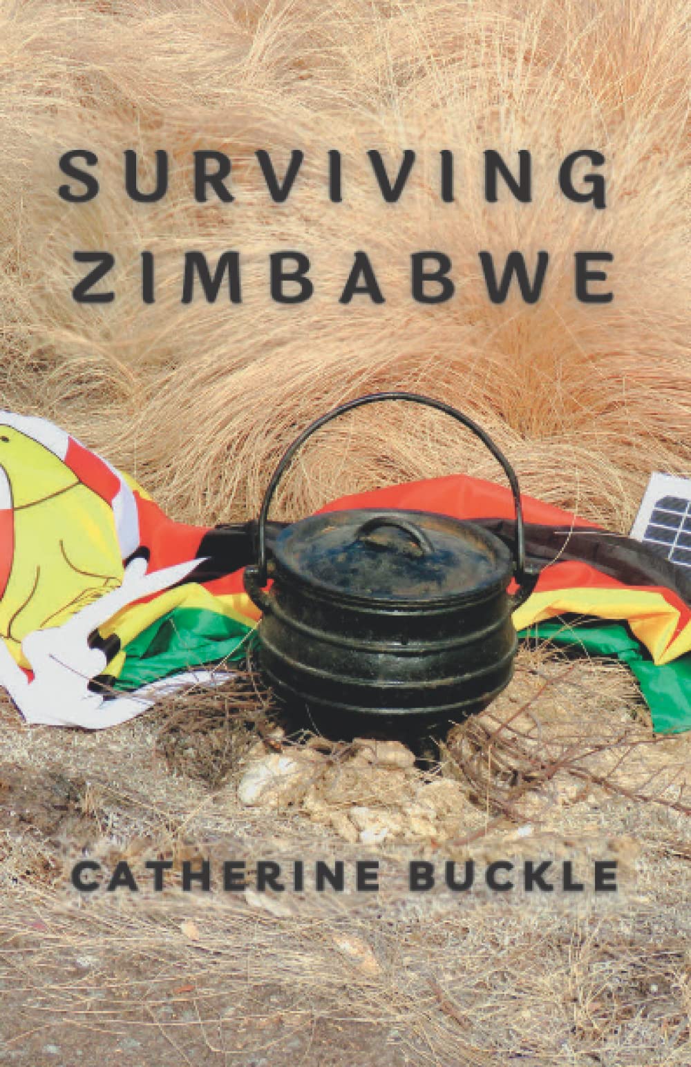 Surviving Zimbabwe (Life During Political Crises in Zimbabwe)
