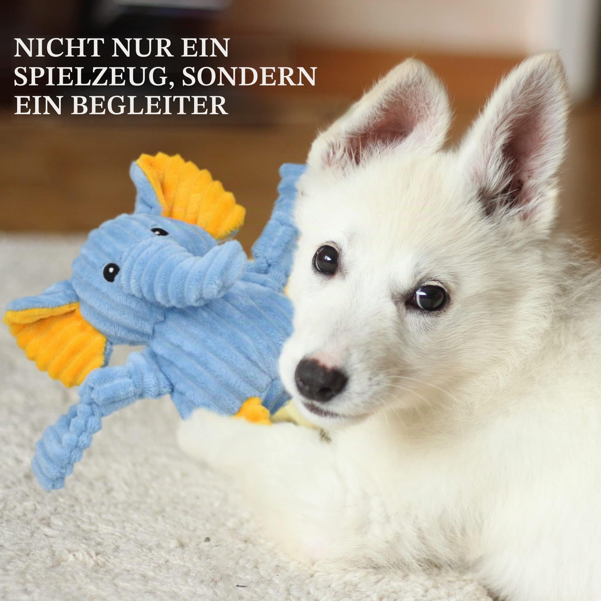 LECHONG 5er-Pack Quietschspielzeug für Hunde, Robuste Plüschtier-Spielzeuge für Große/Mittlere/Kleine Hunde, Kuschelweiches Hundekauspielzeug-Set