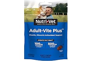 Nutri Vet Pre and Probiotics Soft Chews for Dogs | Essential Daily...