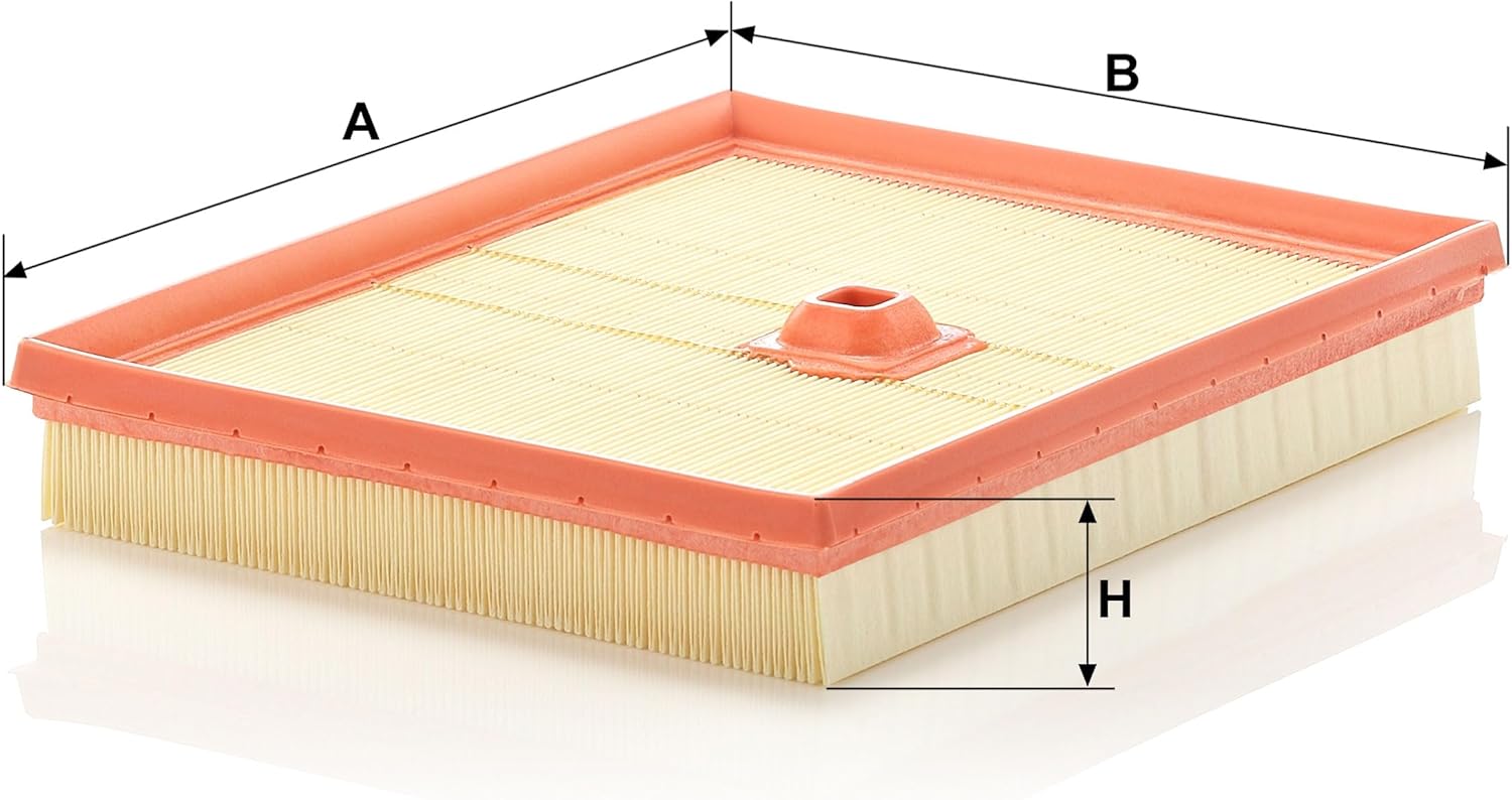 Mann Filter C 2695/2 Air Filter