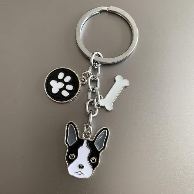 Foto 3 de 8 de Etiquetas de identificación de perro llavero, etiquetas de identificación para mascotas