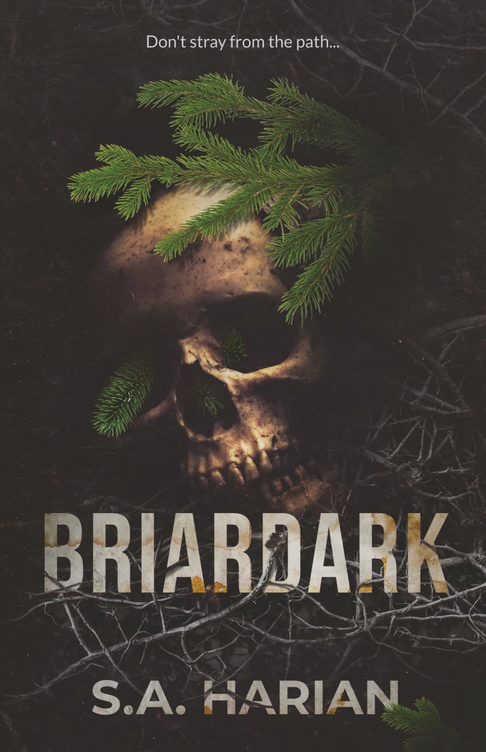Buy Briardark — BookShops.in