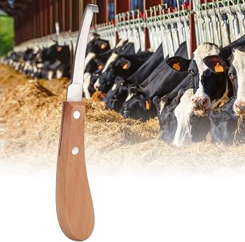 Hoof Knife, Wooden Handle Horse Farrier Trimming Tools, 21.5cm / 8.5 Inch Length (Right Hand)