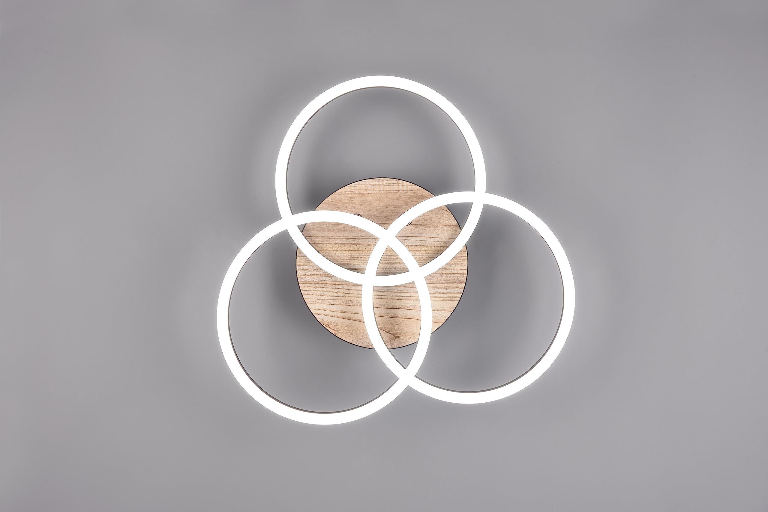 Reality, Lámpara de techo, Circle incl. 1xLED