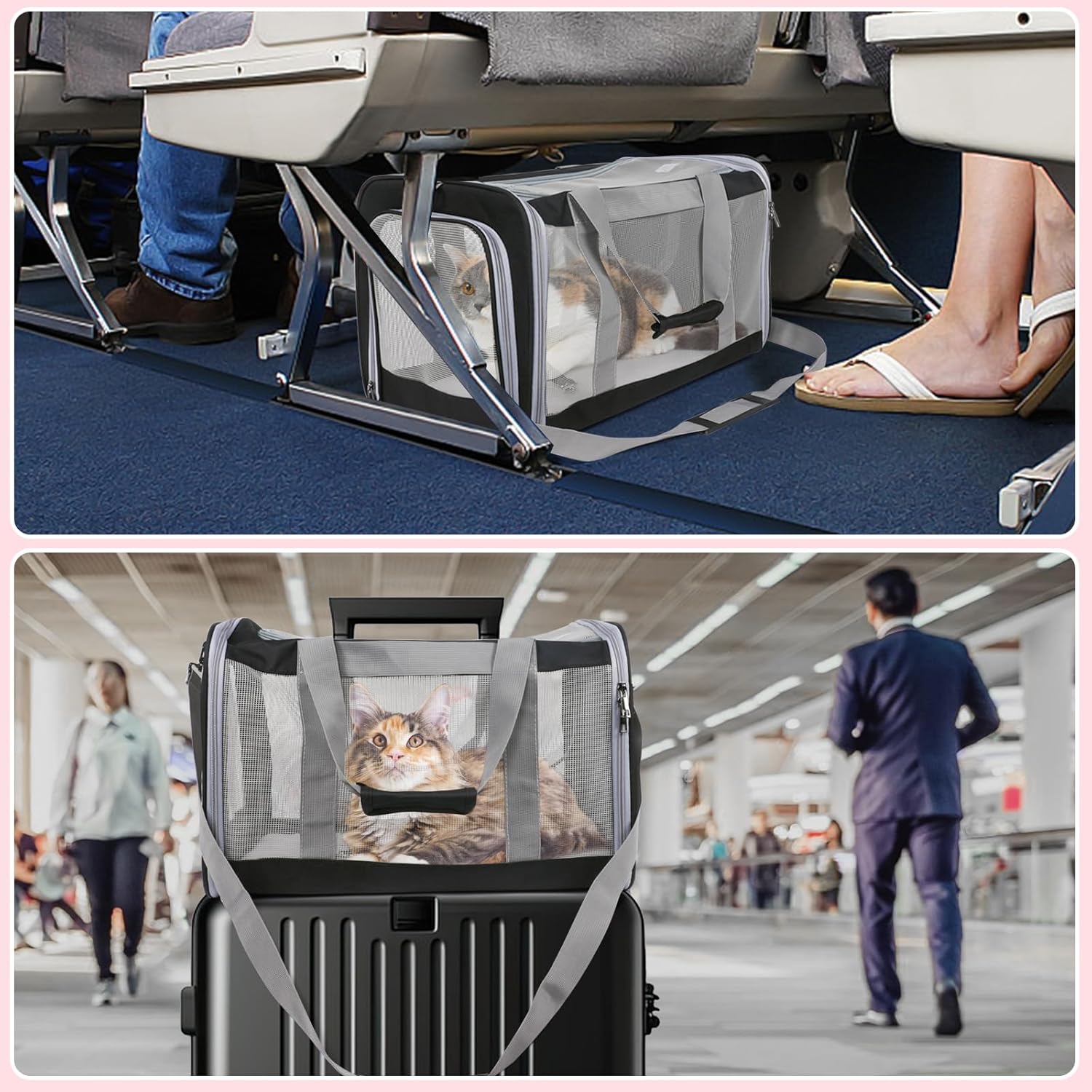 Pet Carrier for Large Cats of 25 Lbs,Collapsible Carrier Bag for Big Cat or 2 Kittens,Soft Sided Puppy Carrier with Sturdy Travel Transport Strap, Adequate Ventilation, 4 Mesh Windows (Black)