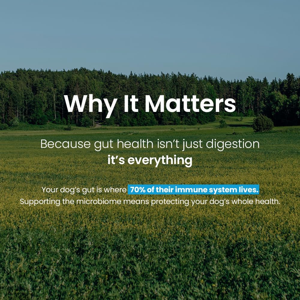 Human Grade Daily Probiotic for Dogs – Vet Approved with 7 Clinically Proven Strains + Prebiotics, Gut & Immune Support with Pumpkin & Carrot – 60 Servings – 5 Billion CFU per Scoop