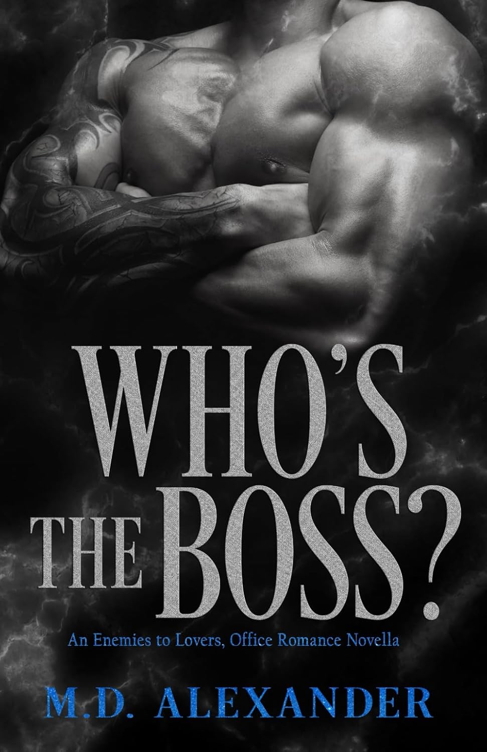 Who's The Boss?: An Enemies to Lovers, Office Romance