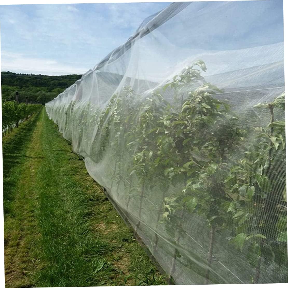 Mosquito Bug Insect Bird Net, Insect Netting for Garden Plant Covers for Insects, Protect Vegetables Fruits Flowers Plants(2.5x6M)