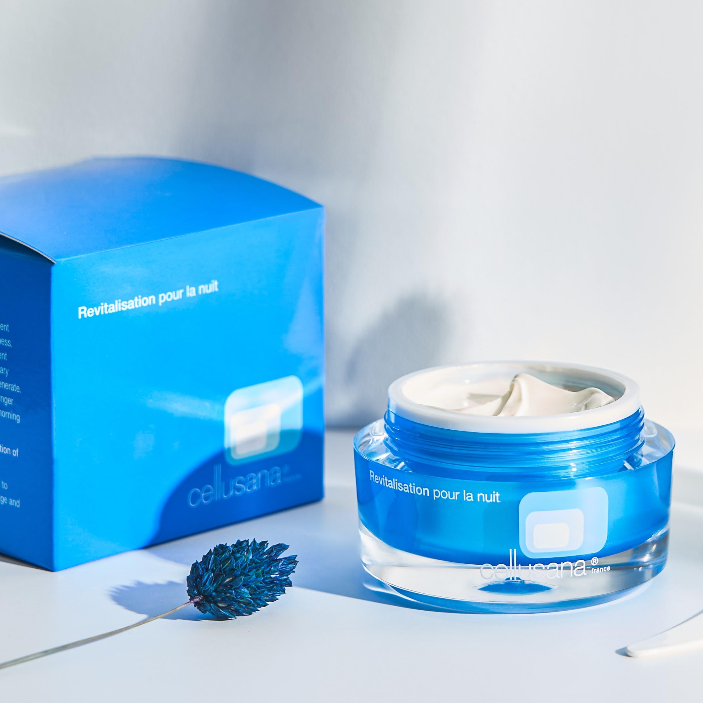Cellusana® Nachtcreme – Regenerierende Anti-Aging Nachtpflege mit Zellpeptiden & Hyaluron – Fördert Hauterneuerung & Zellregeneration – 50ml Made in Germany