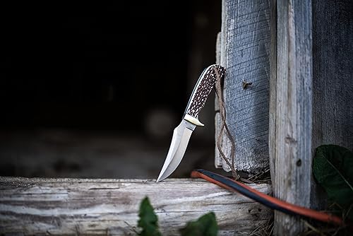 Miniatura 3 de Uncle Henry Staglon 8.5 pulgadas alto carbono SS cuchillo de hoja fija con una hoja de 4.25 pulgadas y mango de Staglon para supervivencia al aire