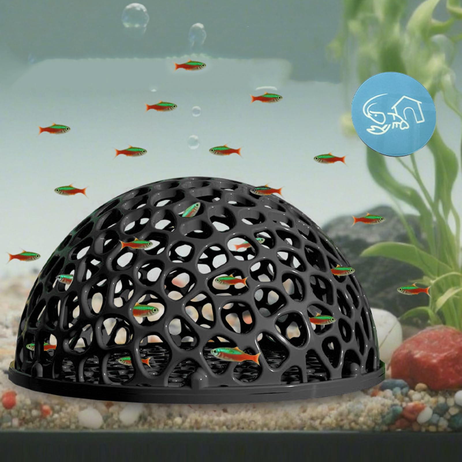 Grotta per acquario, grotta per pesci, 10 x 10 x 5 cm, rifugio per gamberetti, ideale per allevamento e riposo spot betta, tartaruga, acqua salata, acqua e acquari domestici